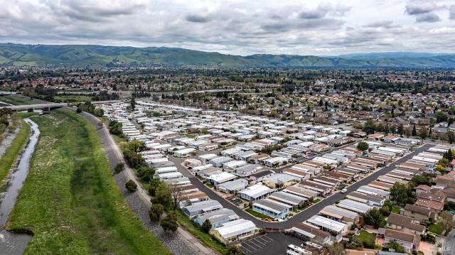 Town billion painting peace.