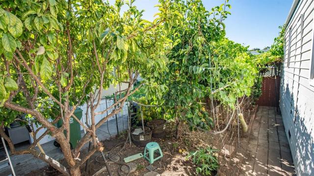 Town billion painting peace.